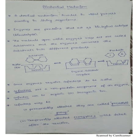 Biochemical Mechanism Hand written notes