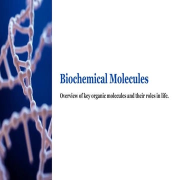 Comprehensive Overview of Biochemical Molecules and Their Functions in ...