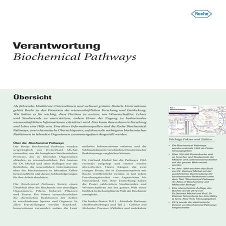 Biochemical pathways factsheet | PDF