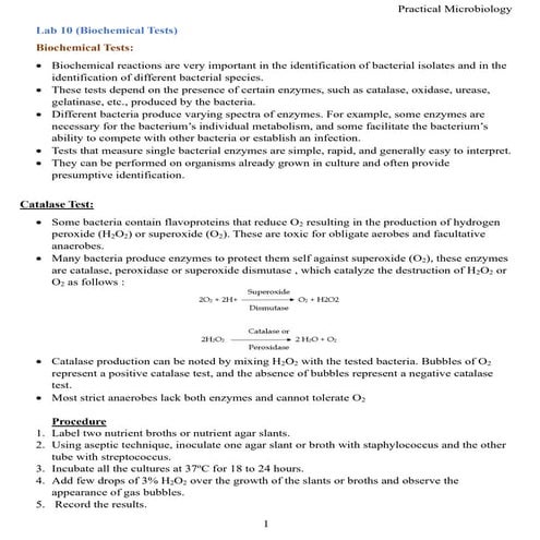 Biochemical tests and serological tests for bacterial disease diagnosis ...