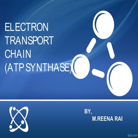 Biochemistry Electron transport chain