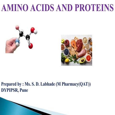 Comprehensive Overview of Amino Acids and Protein Structures in ...