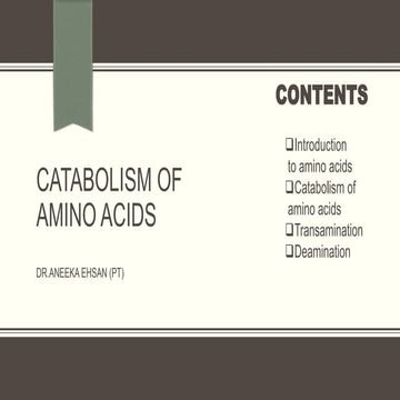 Catabolism of amino acids, transamination and deamination