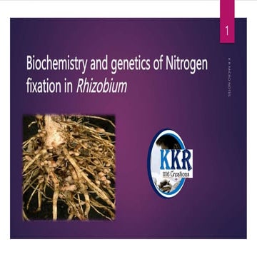 Biochemistry and genetics of Nitrogen fixation in Rhizobium K R.pptx