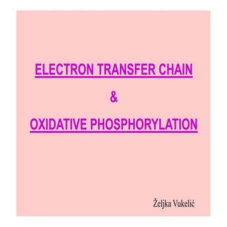 bIOCHEMISTRY electron transport chain energy pathway