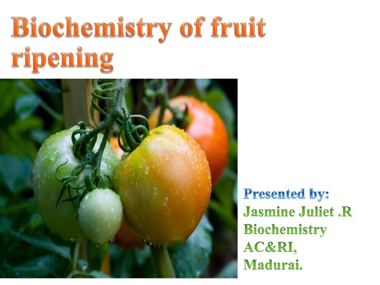 Biochemistry of fruit ripening
