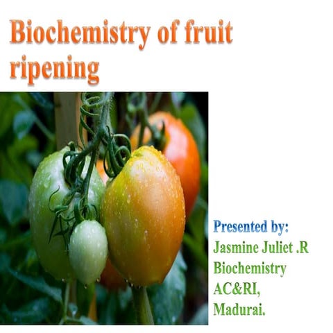 Biochemistry of fruit ripening