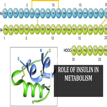 biochemistry- Role of insulin in metabolism- PHYSIOLOGICAL ACTION OF INSULIN