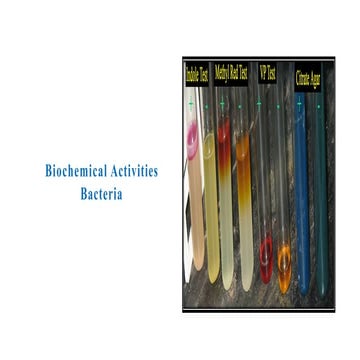 biochimical test_Converted for med lab tech.pptx