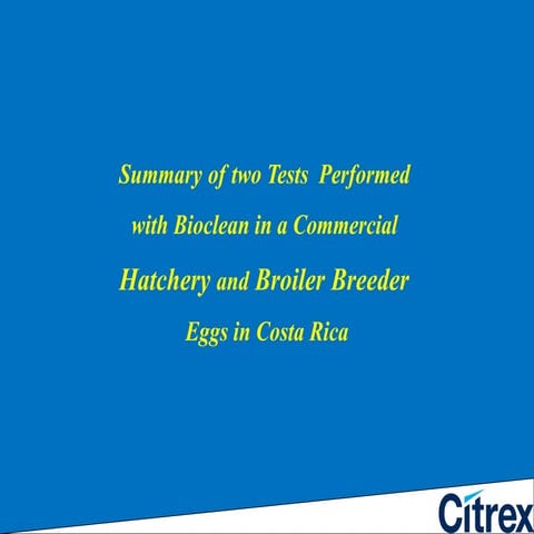 Bioclean Hatchery Eggs Costa Rica (2)