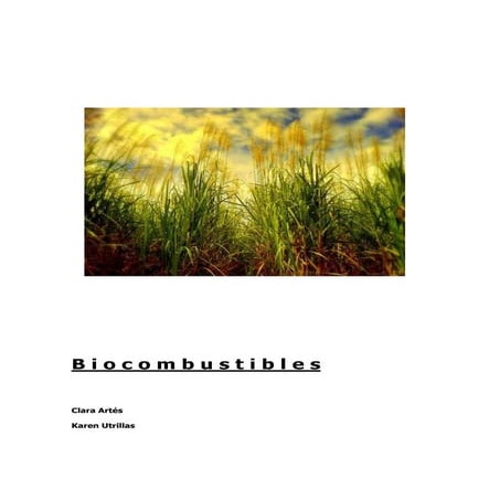 B I O C O M B U S T I B L E S