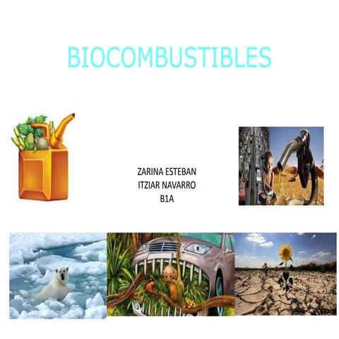 Biocombustibles