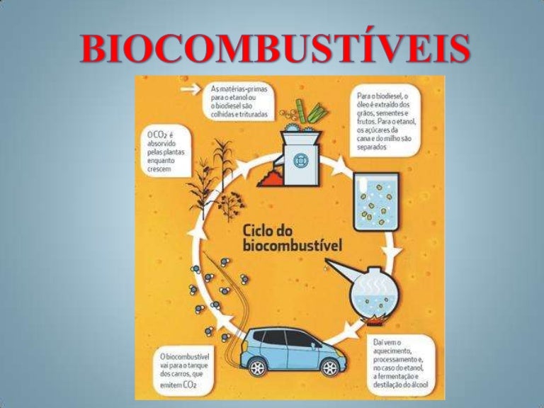 Entre Os Diversos Tipos De Biocombustiveis Apresentados No Quadro