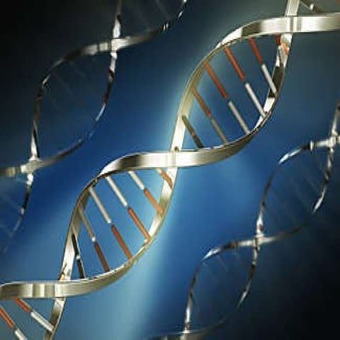 Biocon Company Profile