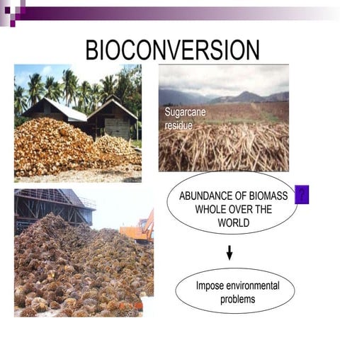BIOCONVERSION-to improve environmental problems.ppt