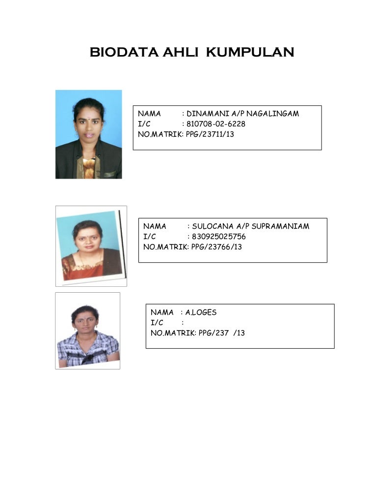 Biodata Ahli Kumpulan