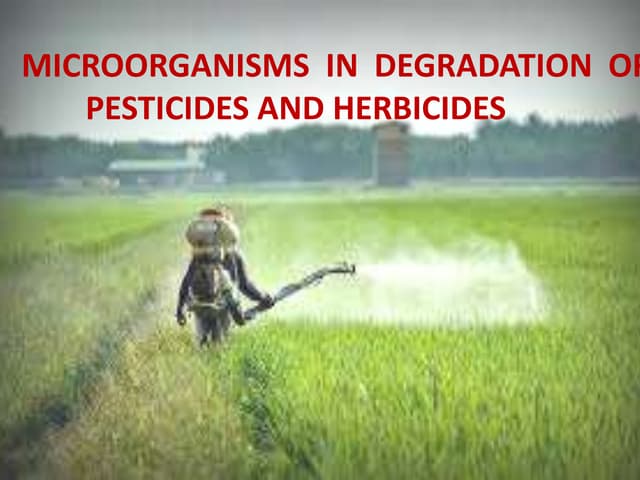 Bio degradation of pesticides and herbicides 