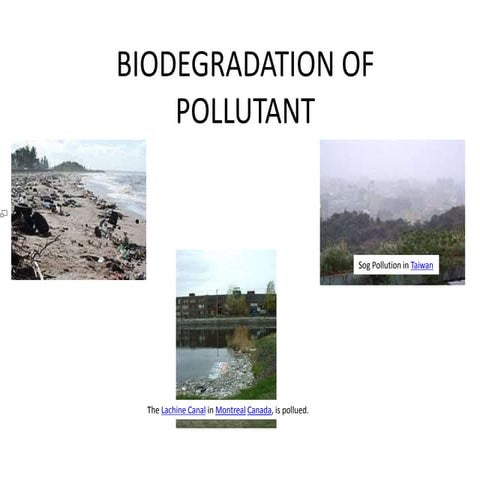 Biodegradation of pollutant 1