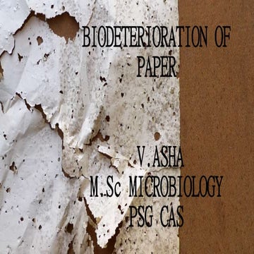 Biodeterioration of paper