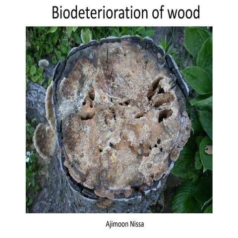 Biodeterioration of wood