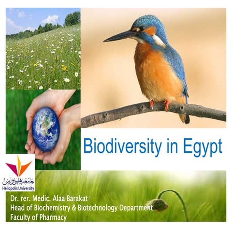 Biodiversity in Egypt
