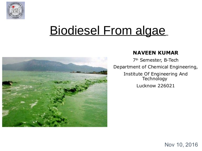 Biodiesel from algae