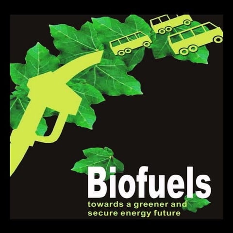 Biodiesel jatropha