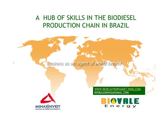 Biodiesel partnership proposal in brazil