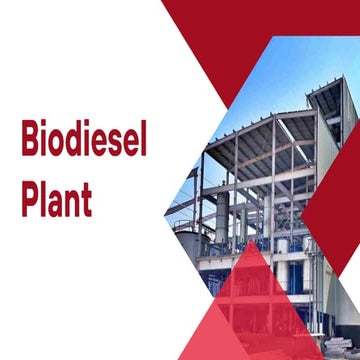 Biodiesel Plant_20240311_190450_0000.pdf