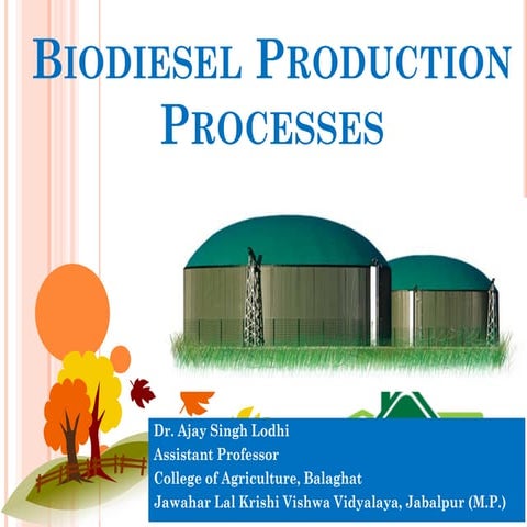 Biodiesel production