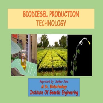 Biodiesel production and preparation techniques | PDF