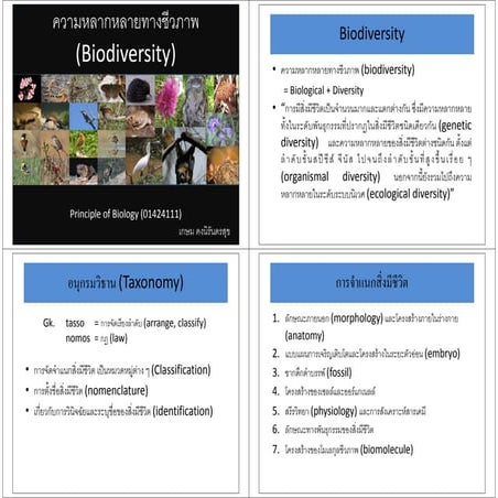 ความหลากหลาย bio diver