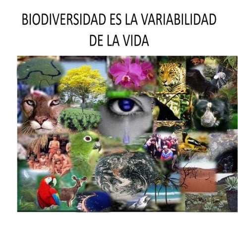 Biodiversidad2