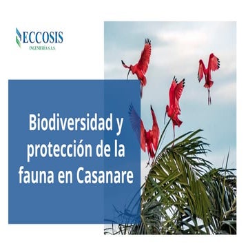 BIODIVERSIDAD DE LA FAUNA EN CASANARE- ECCOSIS.pptx