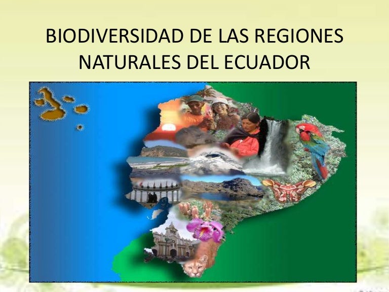 Biodiversidad de las regiones naturales del ecuador
