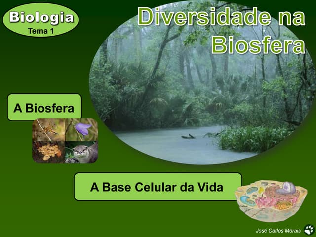 Biodiversidade na terra net
