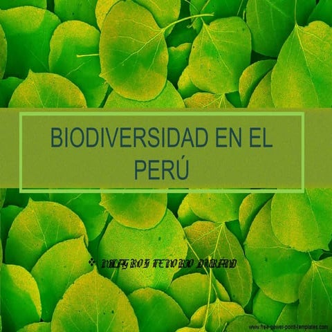 Biodiversidad en el Perú