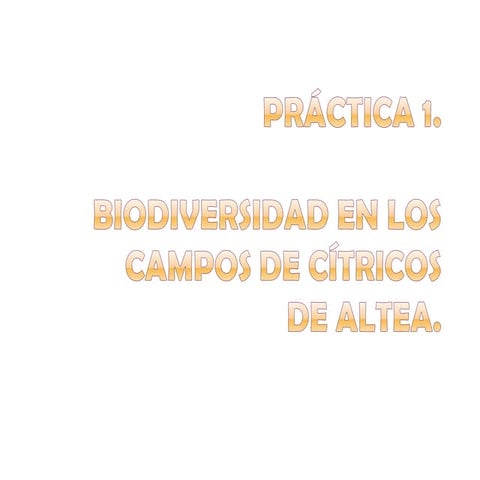Biodiversidad en los campos de cítricos de altea.2