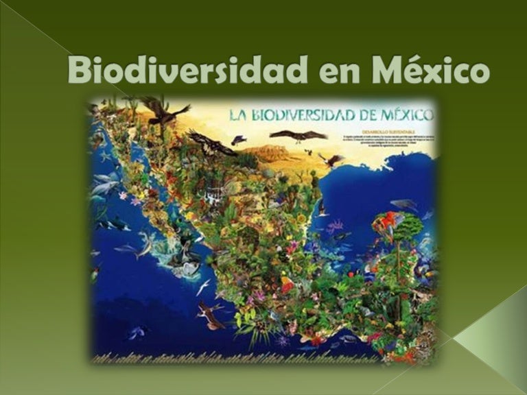 Biodiversidad en méxico