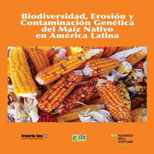 Biodiversidad, erosión y contaminación genética del maíz nativo en américa la...
