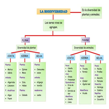 Elaborado a partir de visualizar el video de Biodiversidad:Flora y Fauna 