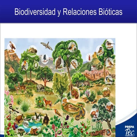 Biodiversidad y relaciones bióticas