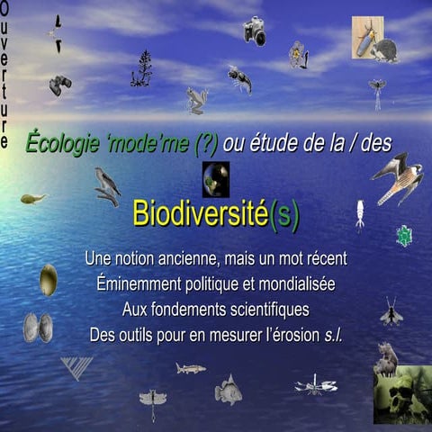 Biodiversité