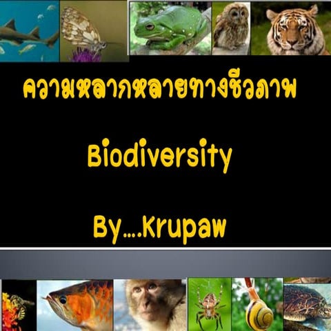 Biodiversity