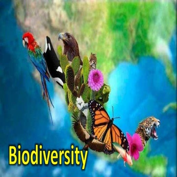 Biodiversity - Extinct and Endagered Species