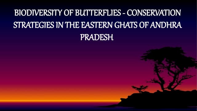 biodiversity- butterfly histroy of butterfly