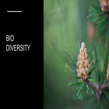 Bio diversity.pptx