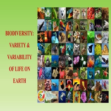 BIODIVERSITY.pdf