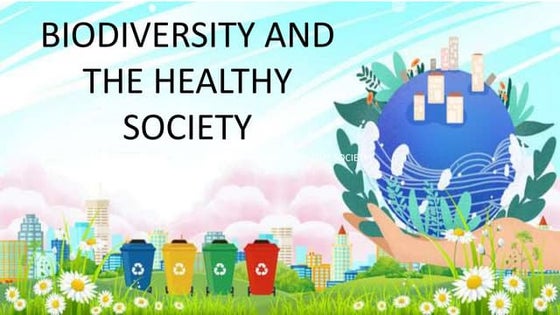 Terrestrial Biodiversity (Sustainable Development) | PPT