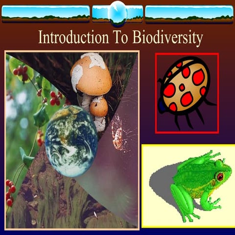 Biodiversity-Grade-11-STEM-General-Biology.ppt